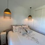 Luxury Puerto Banus Apartment